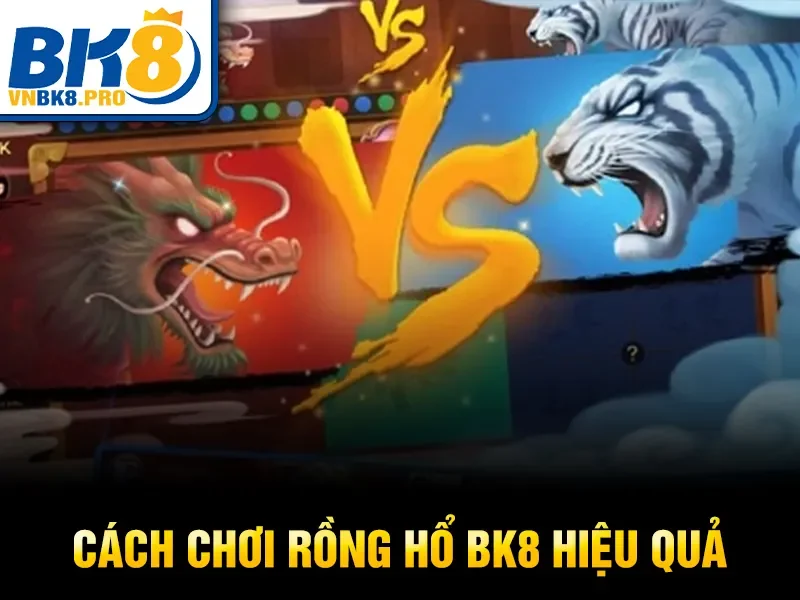 Cách chơi Rồng Hổ BK8 hiệu quả